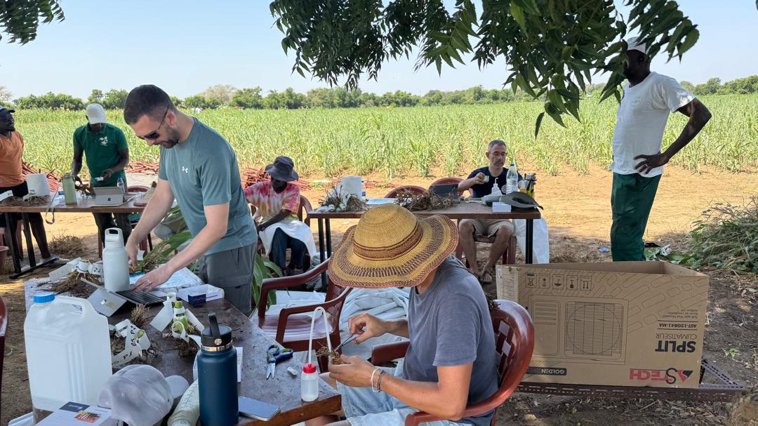 Phénotypage racines