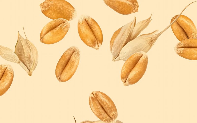 article-ble-mais-riz Epsiloon